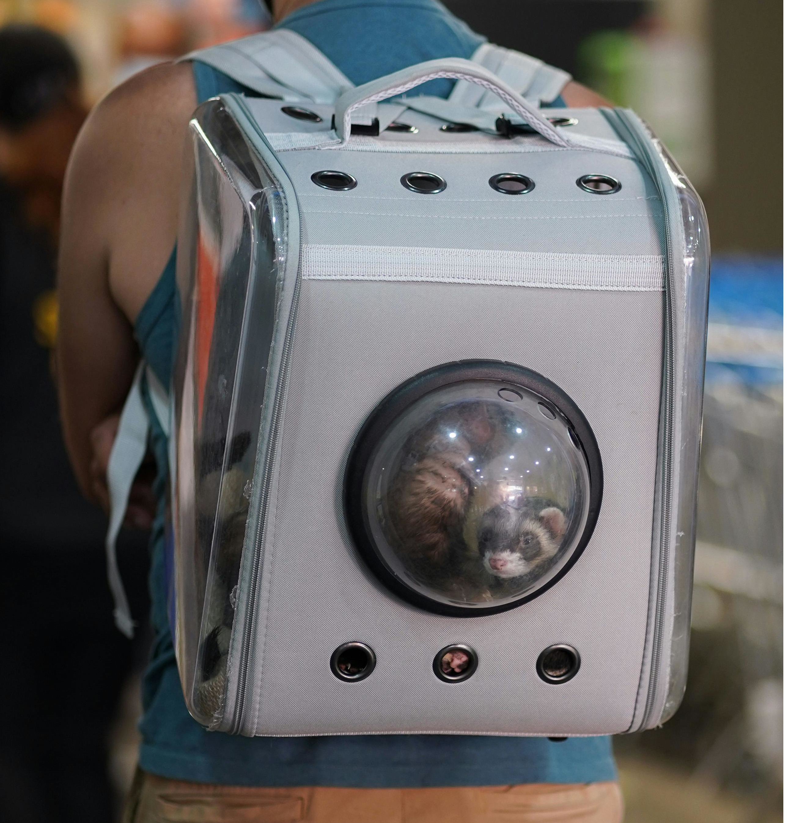 Kit Tutor Espacial